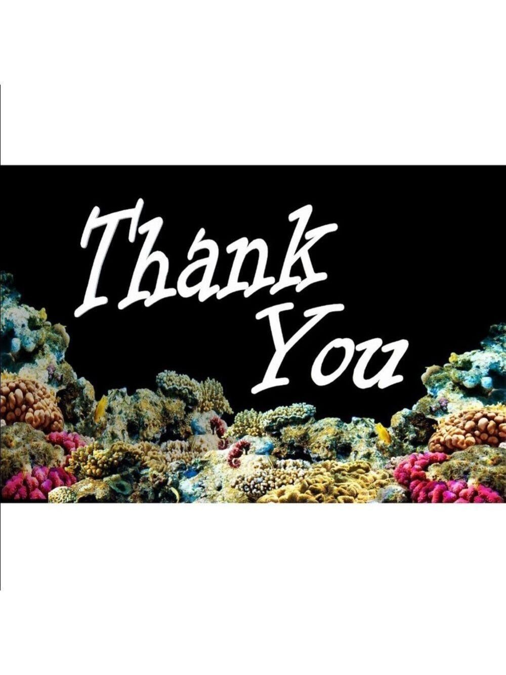 100 2" - 3 1/2" Ocean Coral Reef Cards. PRICE IS FIRM - Picture 2 of 2
